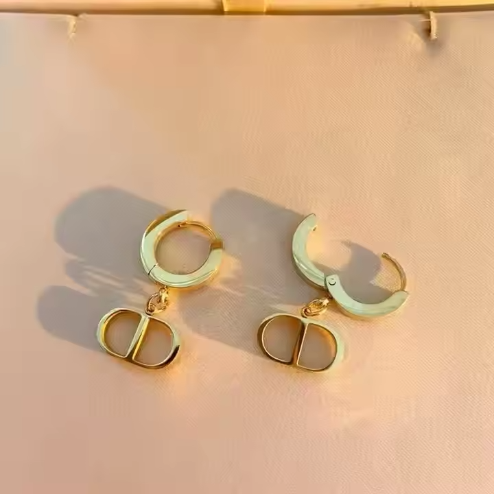 CD earrings